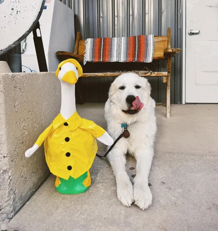 A fluffy white dog sitting next to a colorful duck decoration.