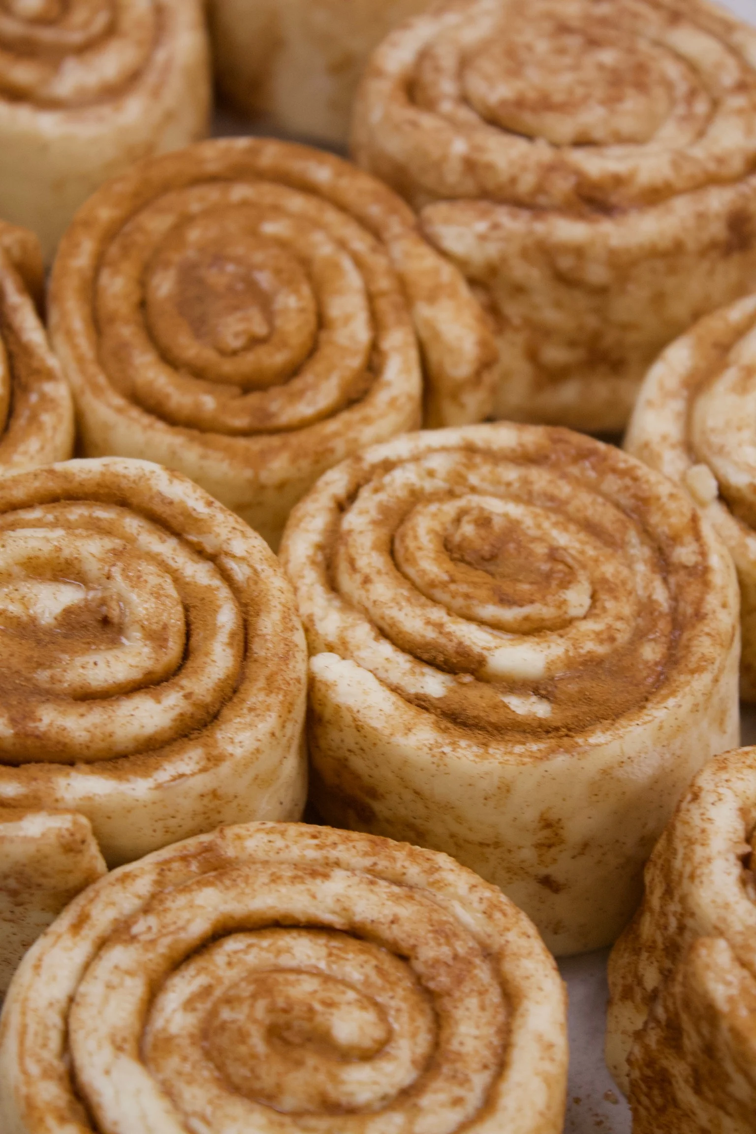 Freshly rolled cinnamon rolls ready for baking