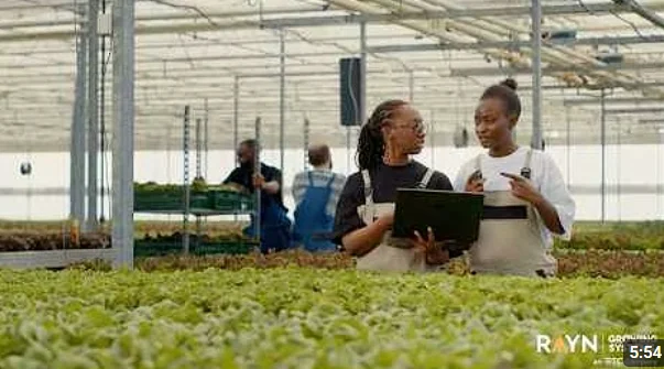 Two women discussing in a greenhouse filled with fresh greens