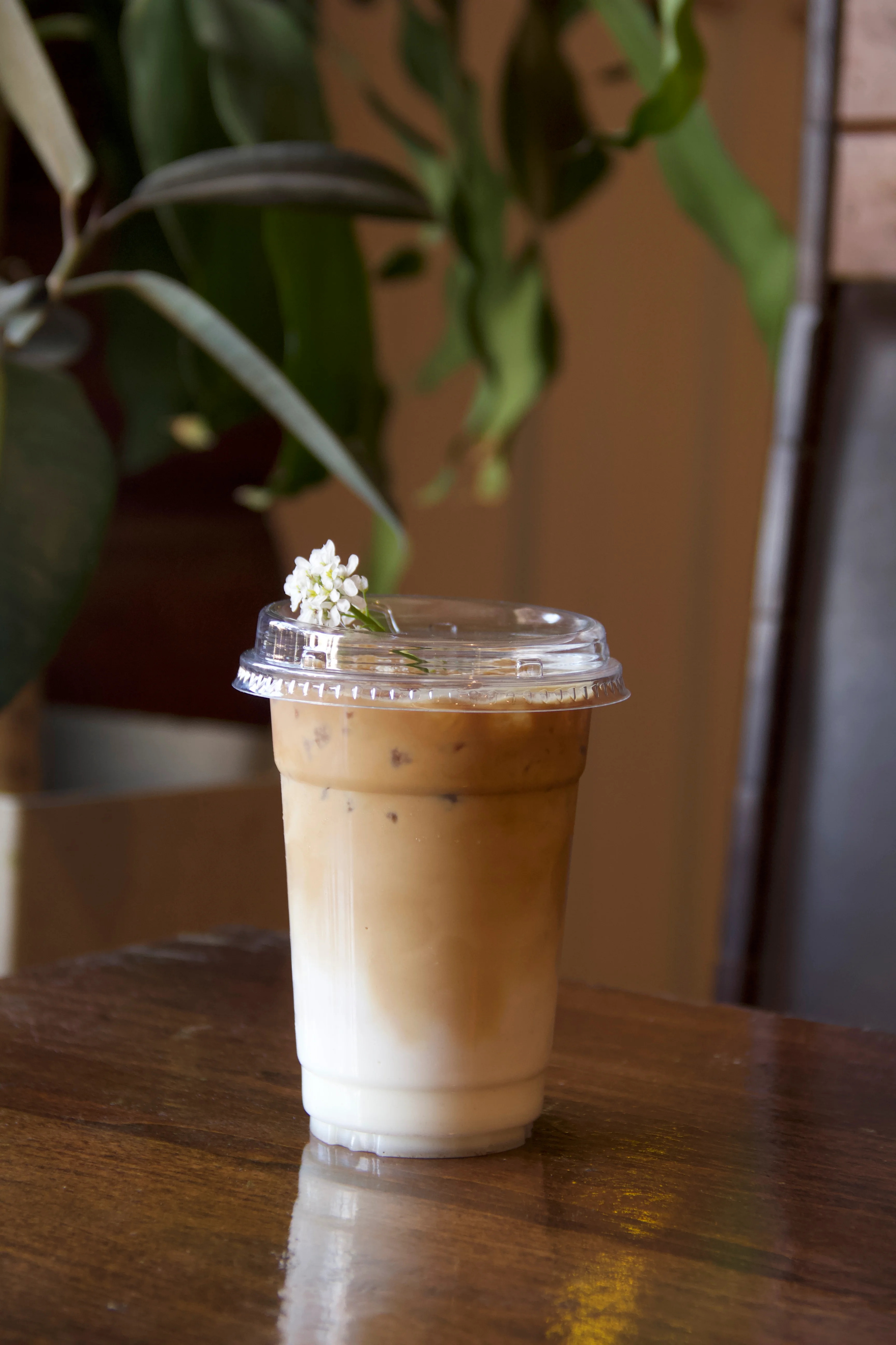 Iced latte with milk and a flower garnish