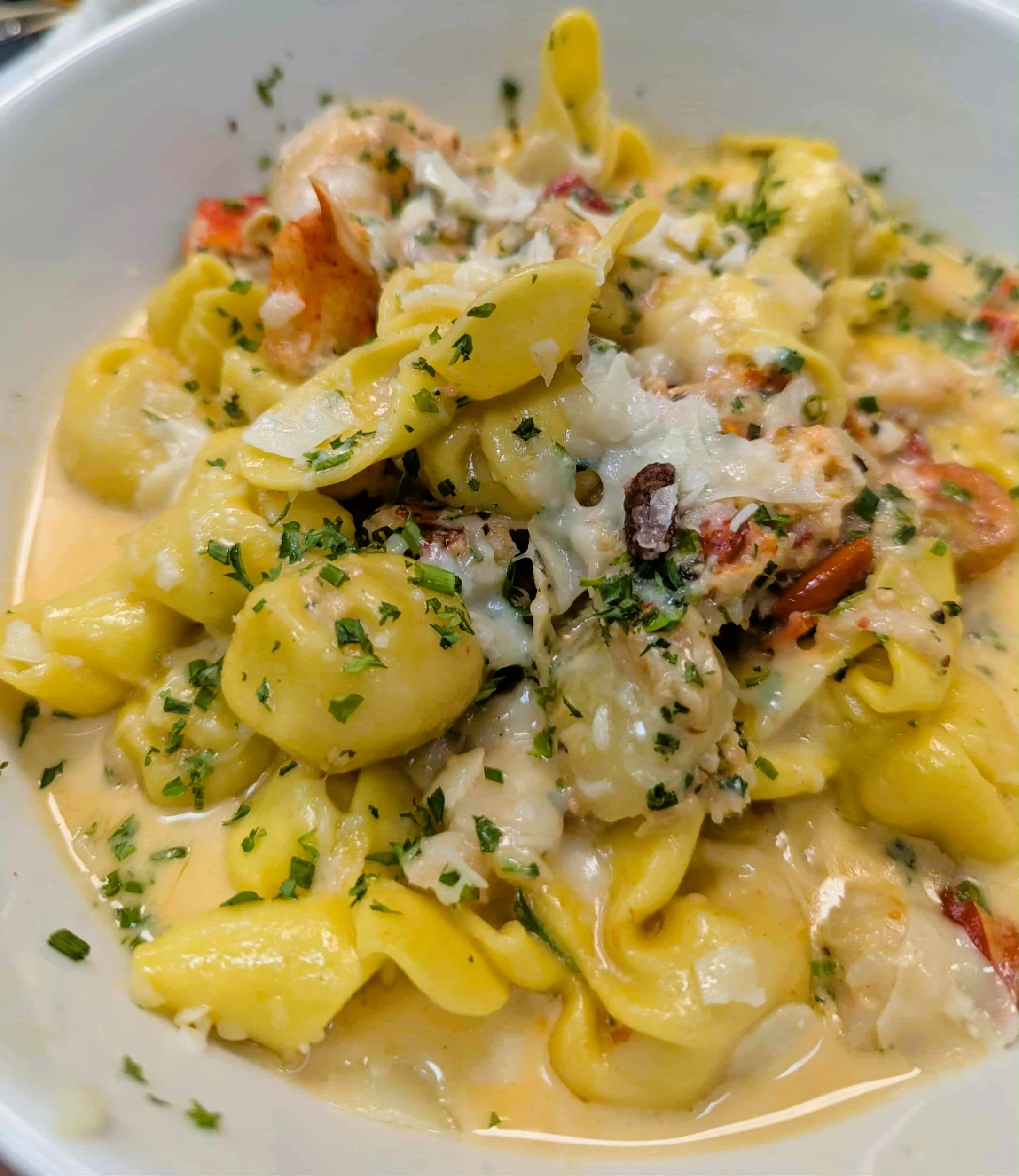 Creamy lobster and shrimp sachettoni pasta in Alfredo sauce