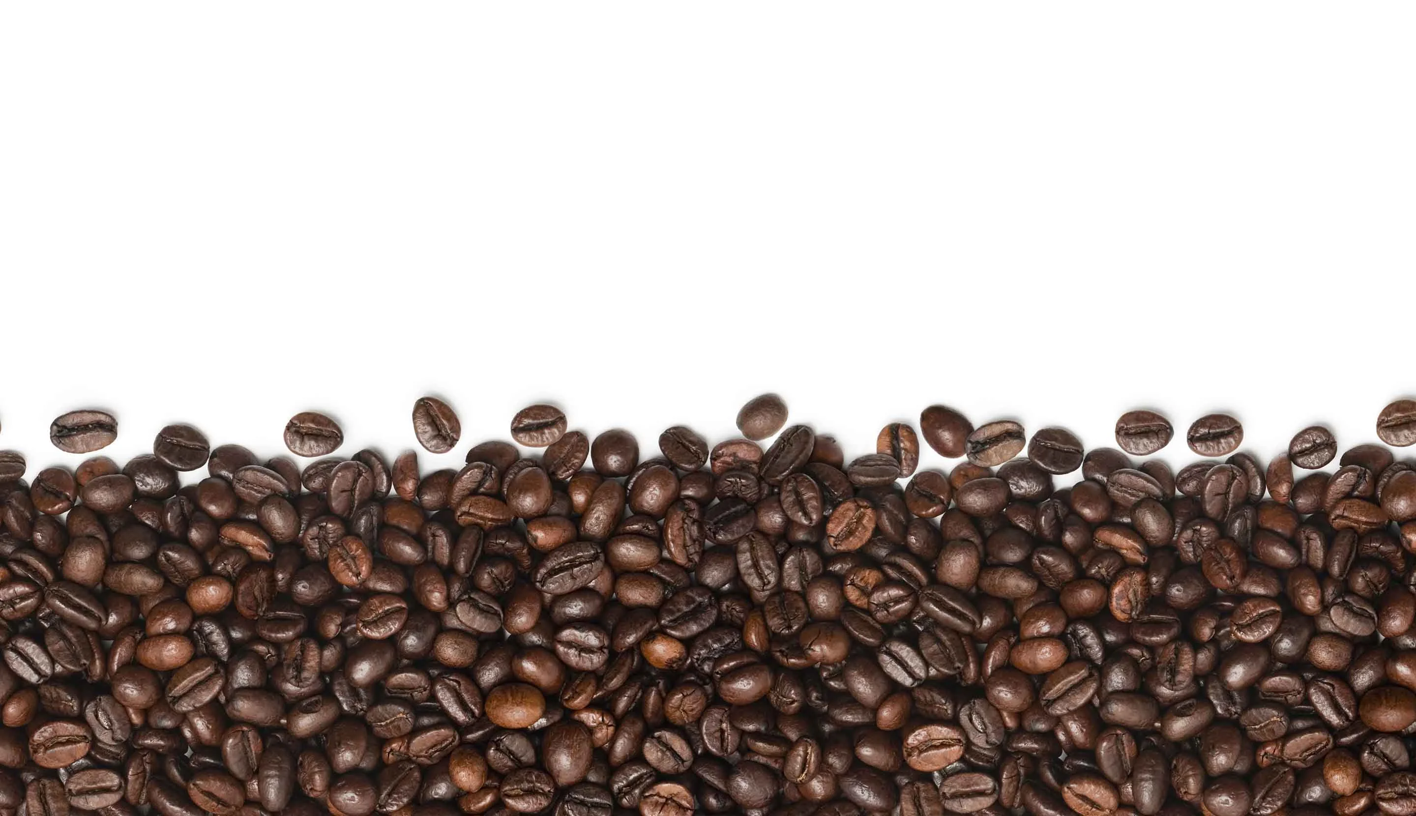 Freshly roasted coffee beans on a white background
