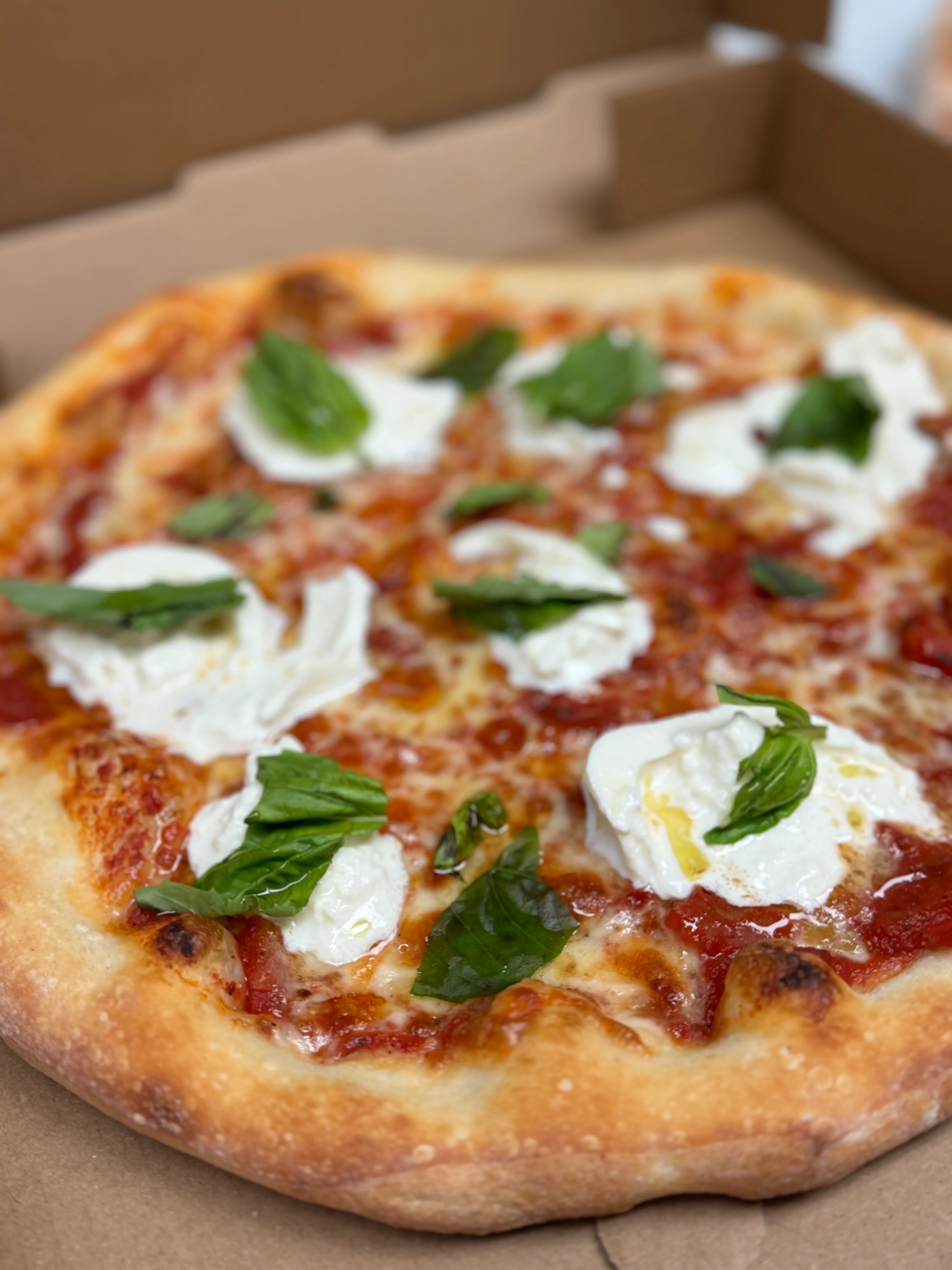 Margherita pizza topped with fresh basil and creamy mozzarella