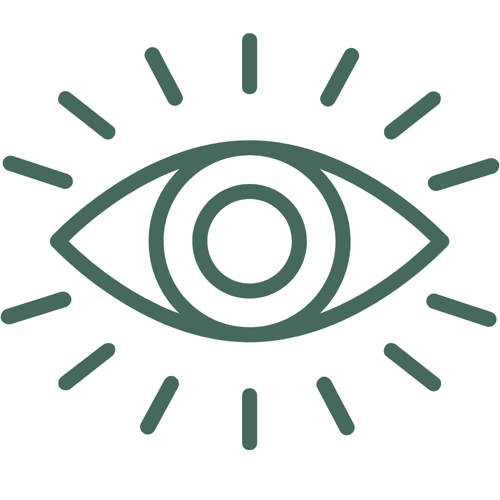 An image of an vision icon