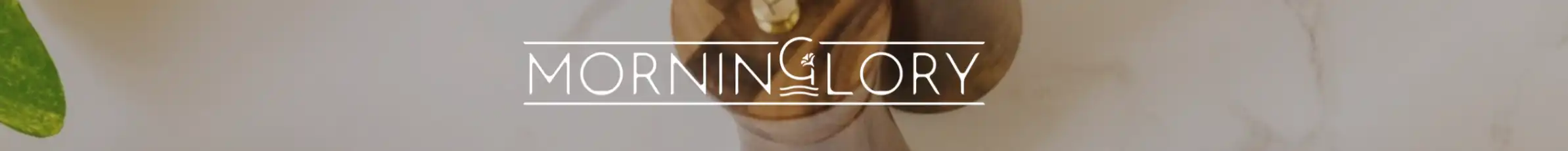 Banner image