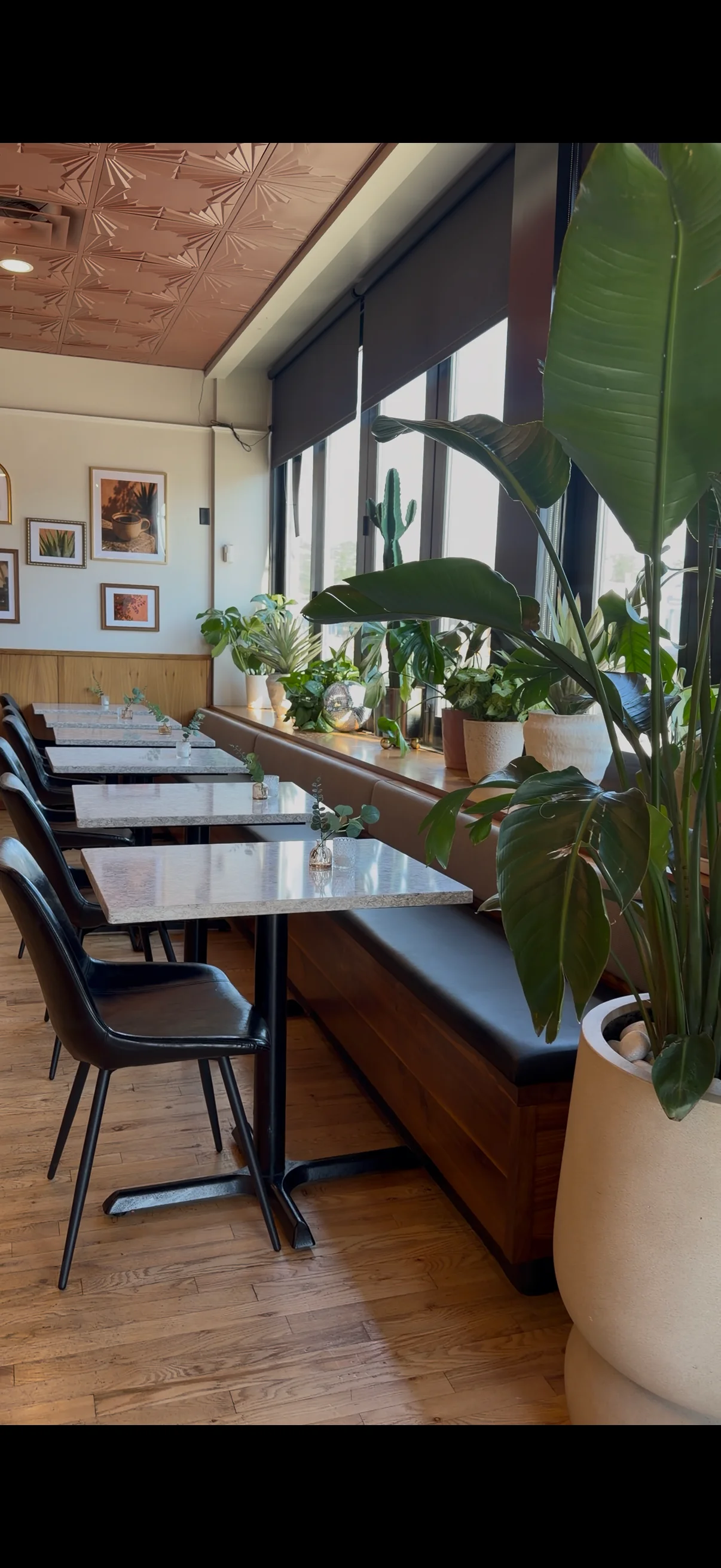 Cozy restaurant interior with plants and modern decor