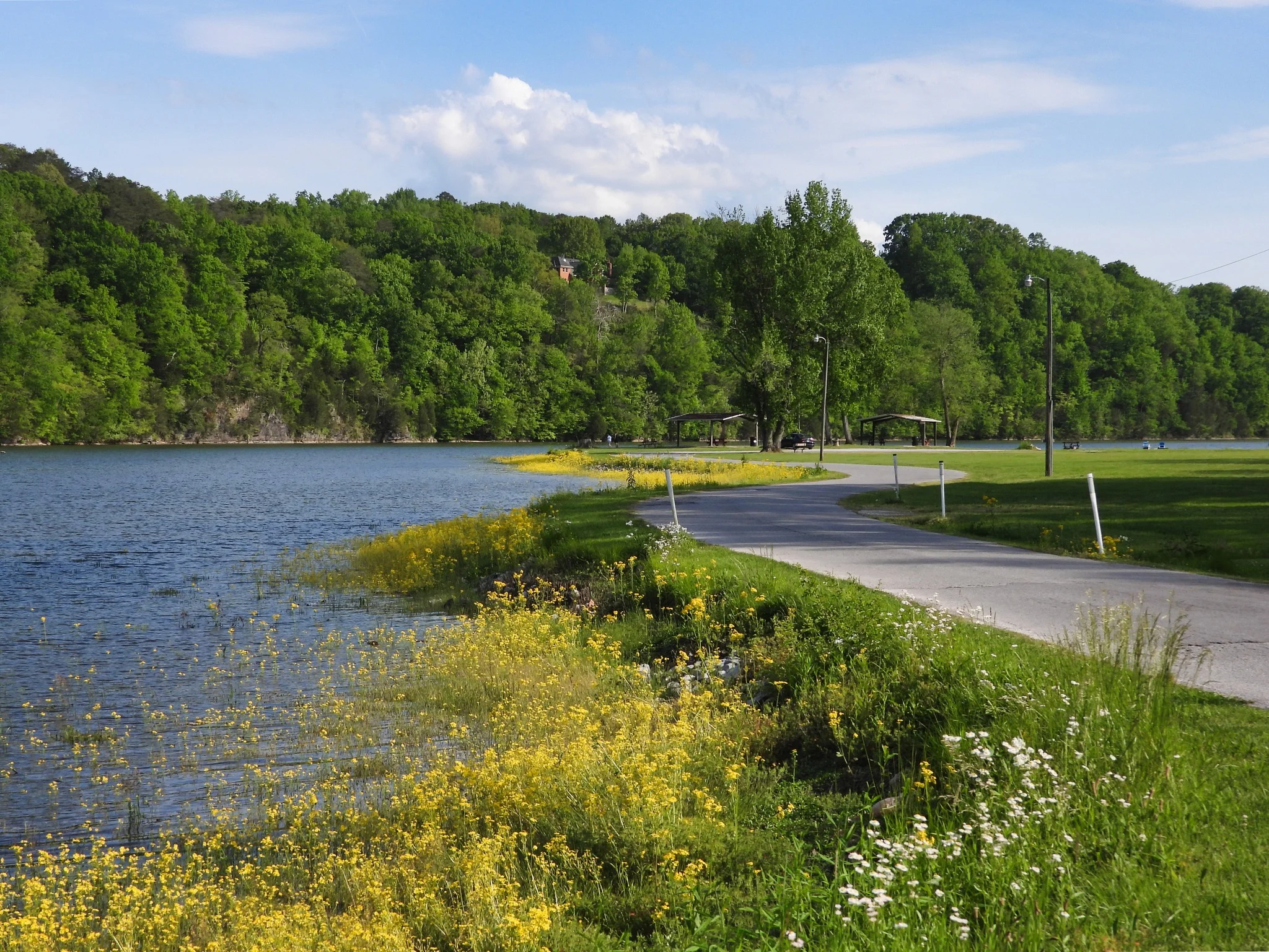 A scenic view of a lake surrounded by lush green trees and wildflowers along the shore. A pathway runs alongside the water.