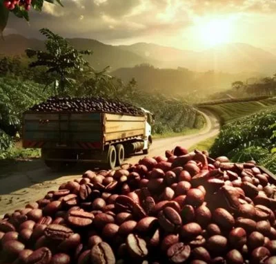 Robu Single Origin Micro Lot Coffee Beans