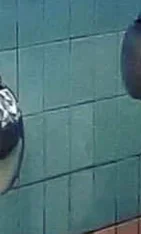 A restaurant chef preparing a dish