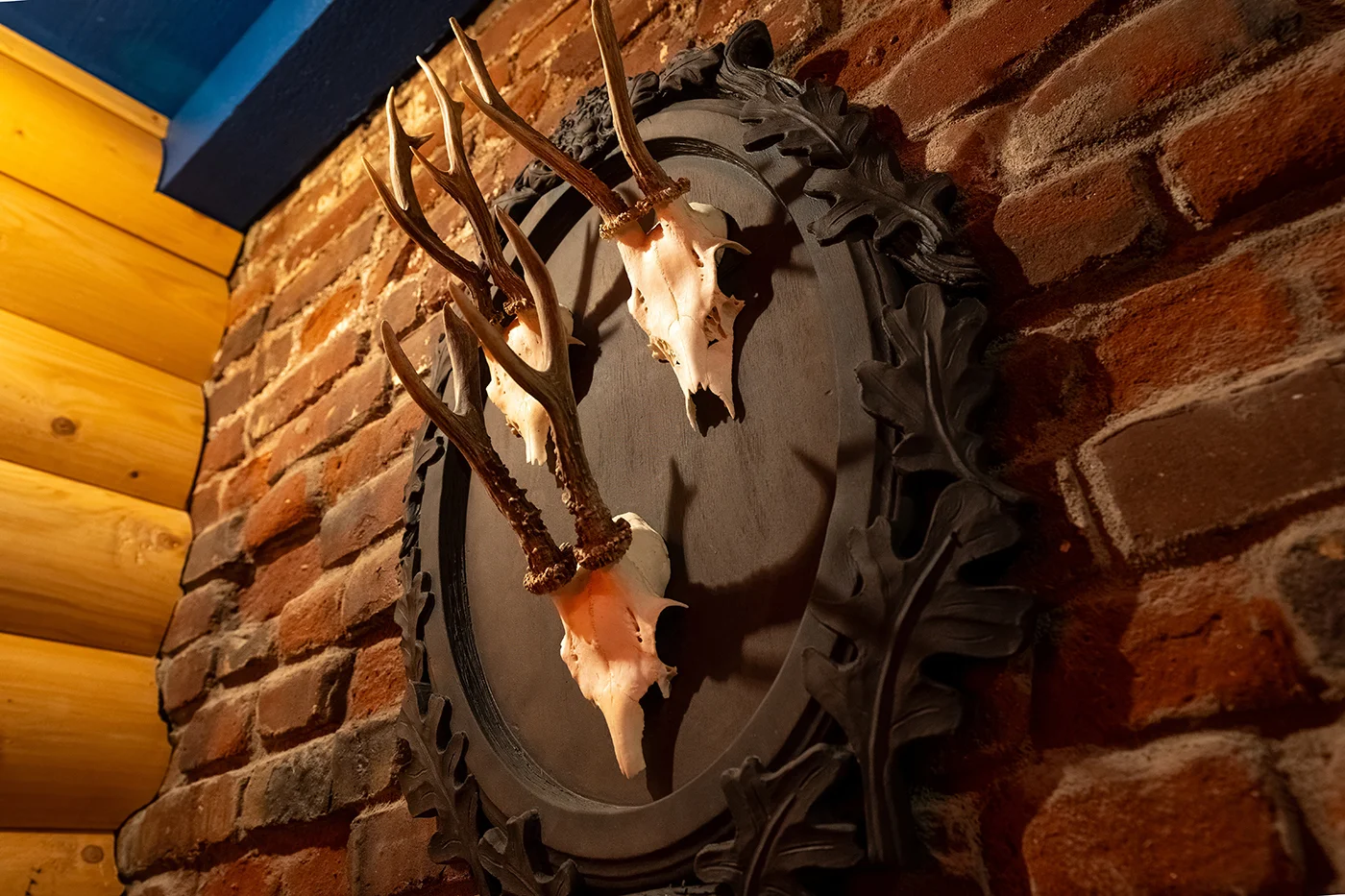 Rustic wall decor featuring mounted deer skulls and antlers