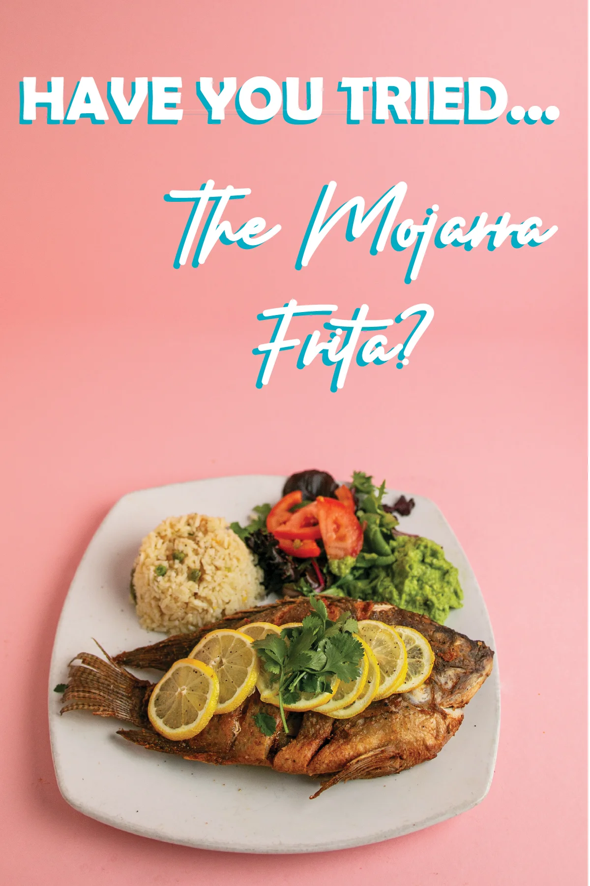 Fried mojara fish served with rice and salad