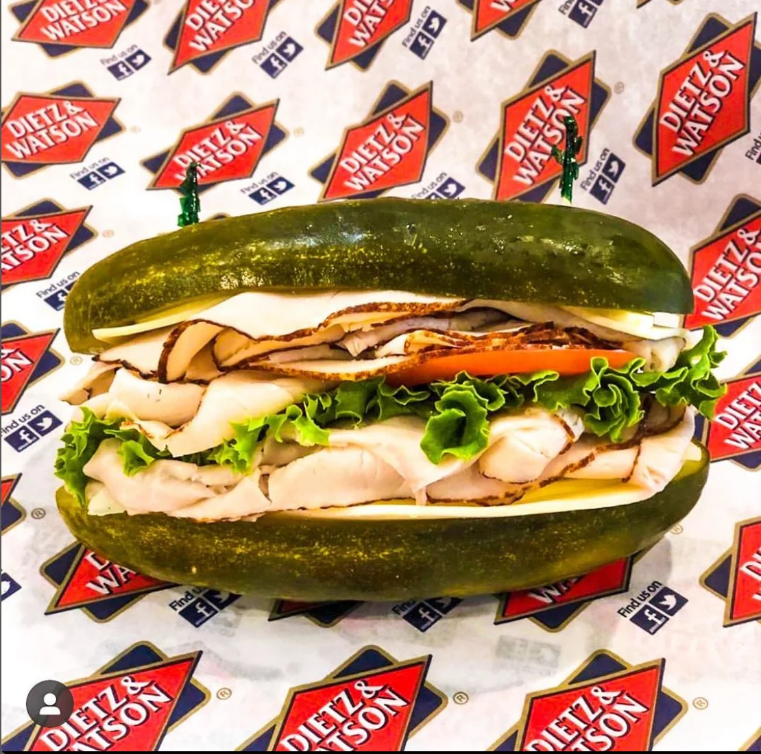 Unique pickle sandwich with turkey and lettuce