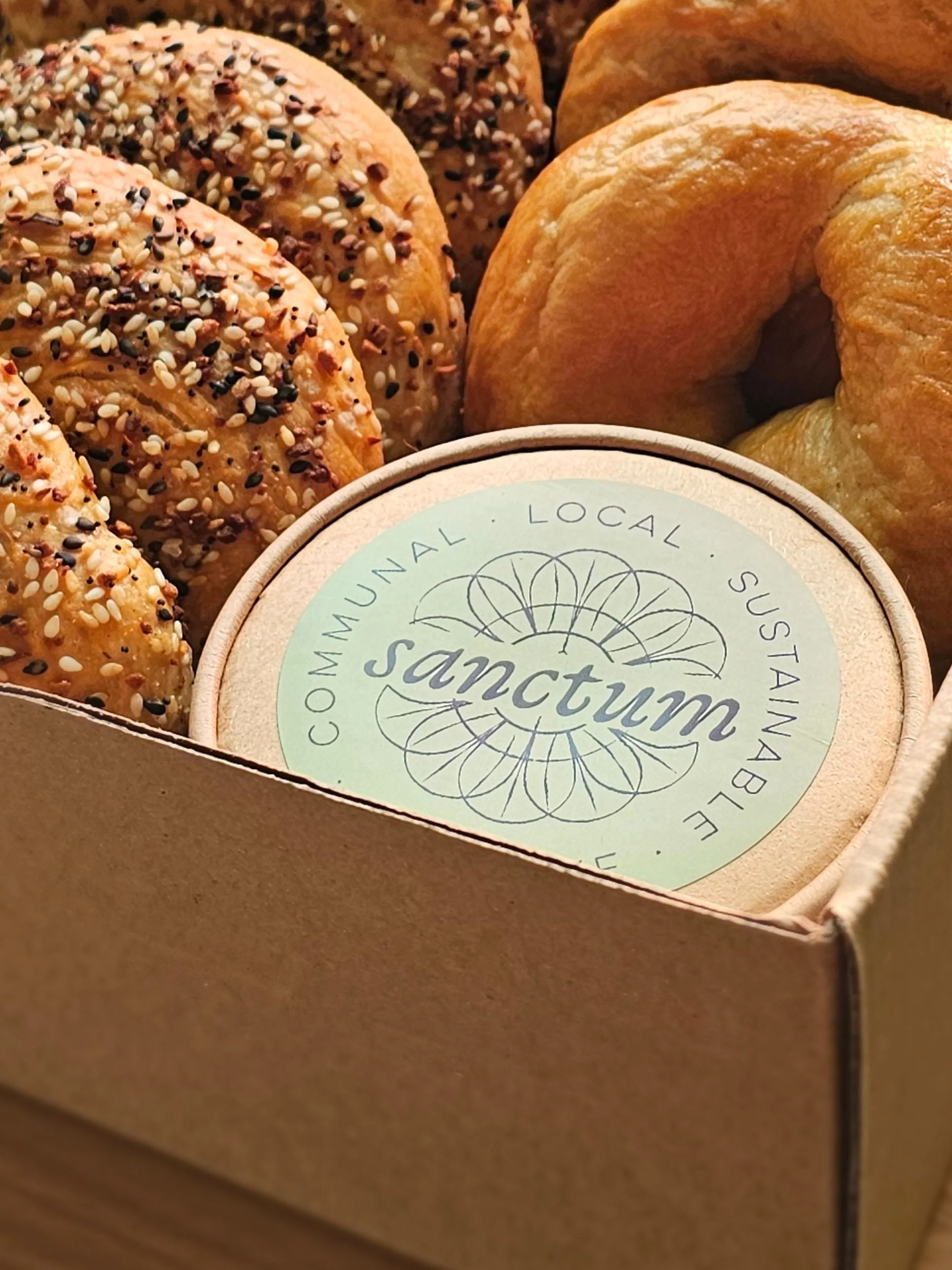 Cream Cheese to Go (8oz)