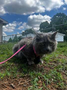 Photo from Audrey V.'s review