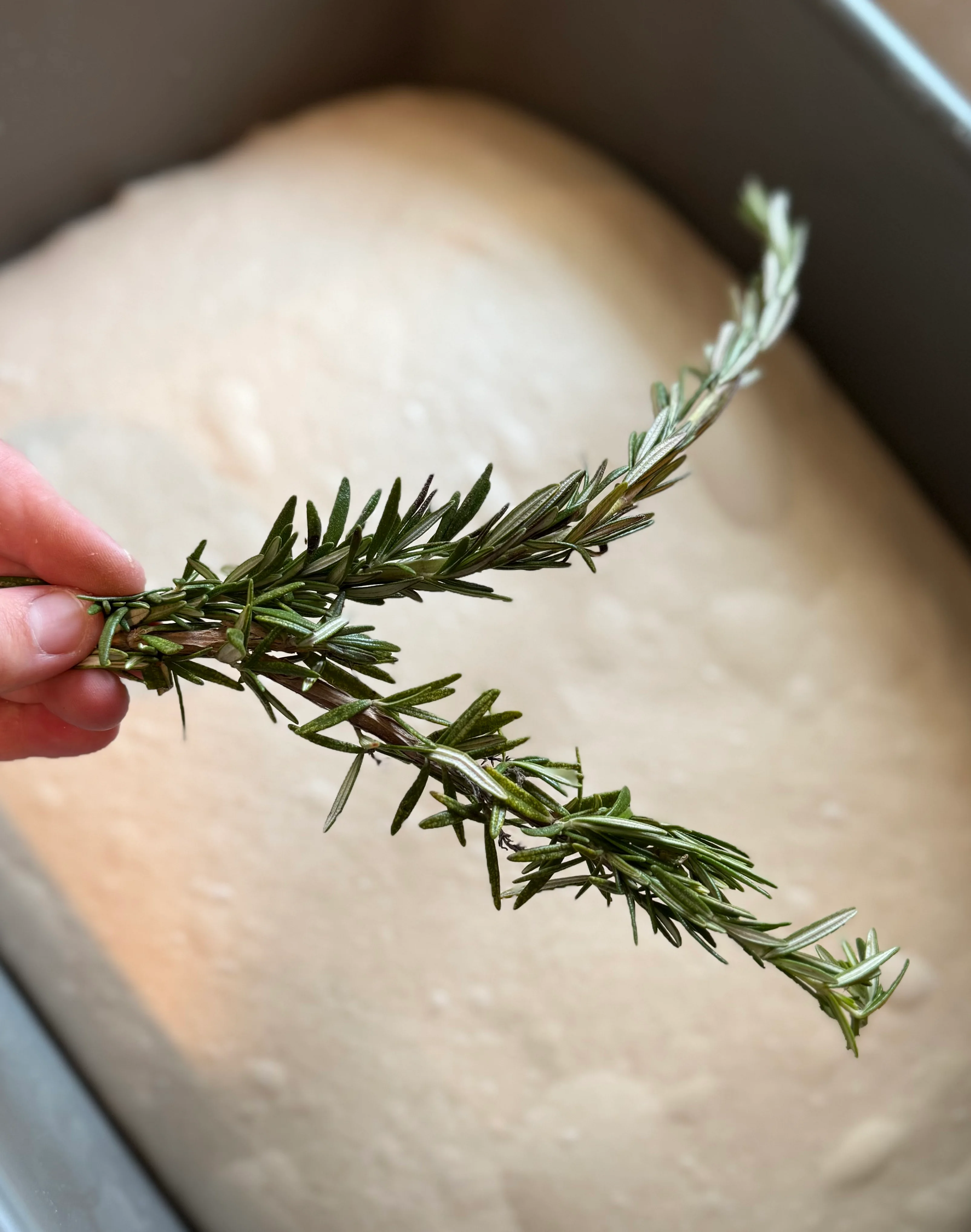Rosemary Loaf