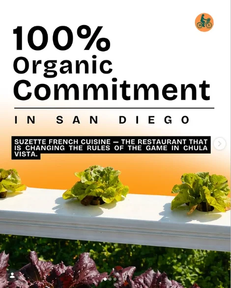 A promotional graphic highlighting a restaurant's commitment to using 100% organic ingredients in San Diego.