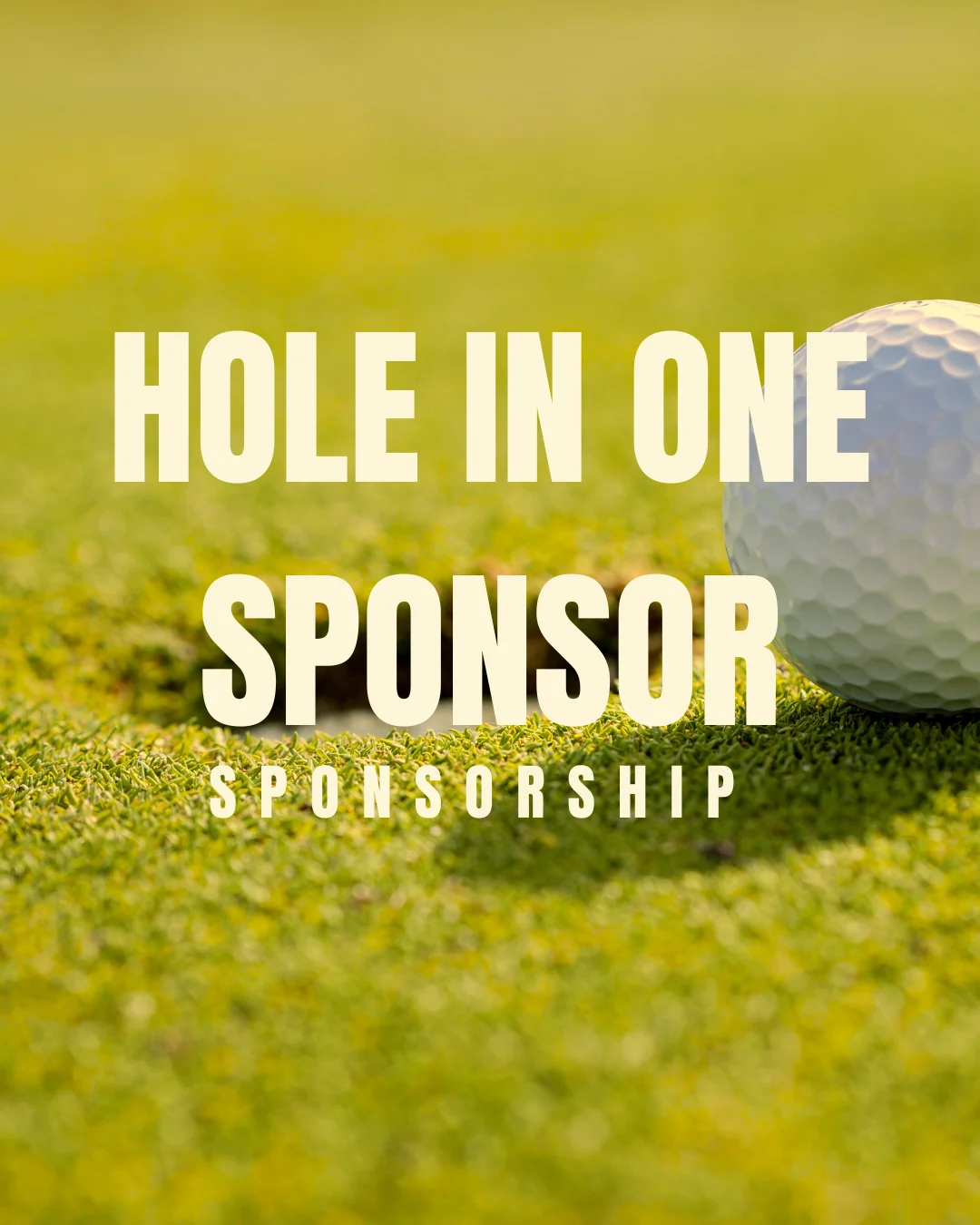 hole in one