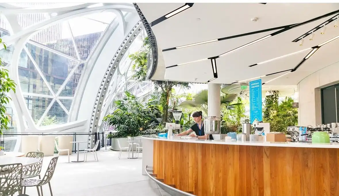 General Porpoise Spheres Italian Plum Jam *Amazon Badged Access Only