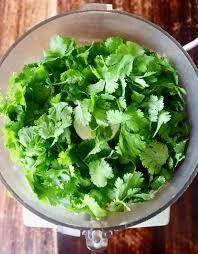 Cilantro