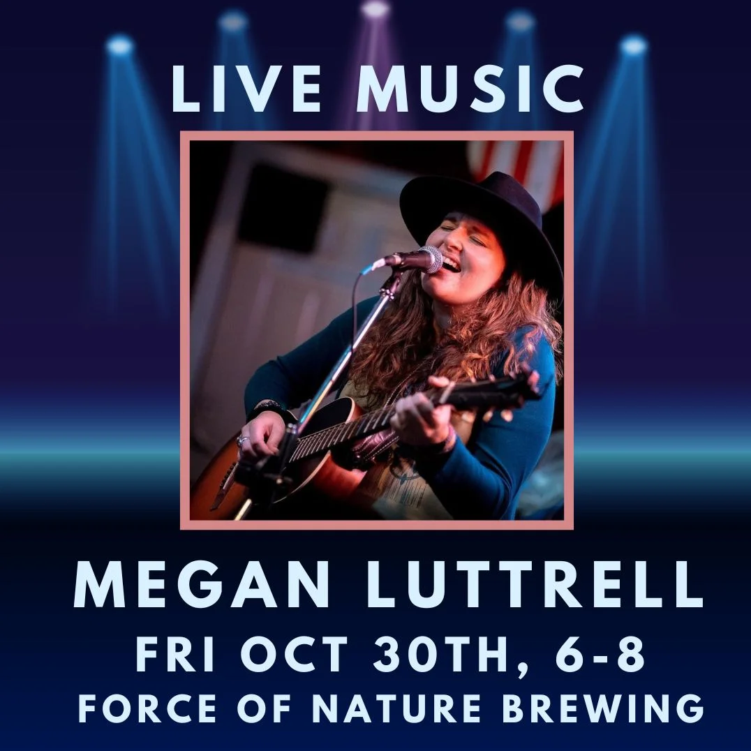 Live music event poster featuring a guitarist performing on stage