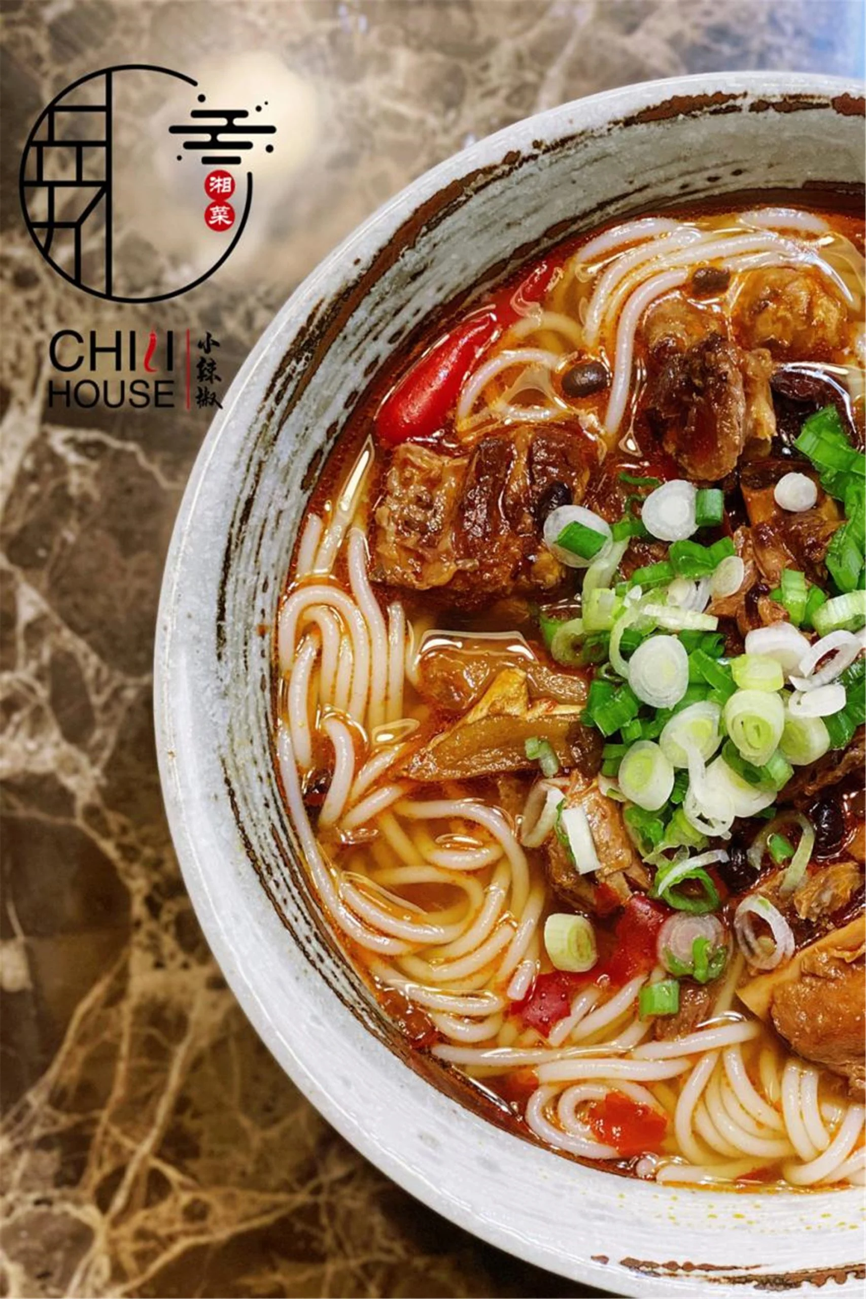 Spicy Sichuan noodle soup with beef and green onions