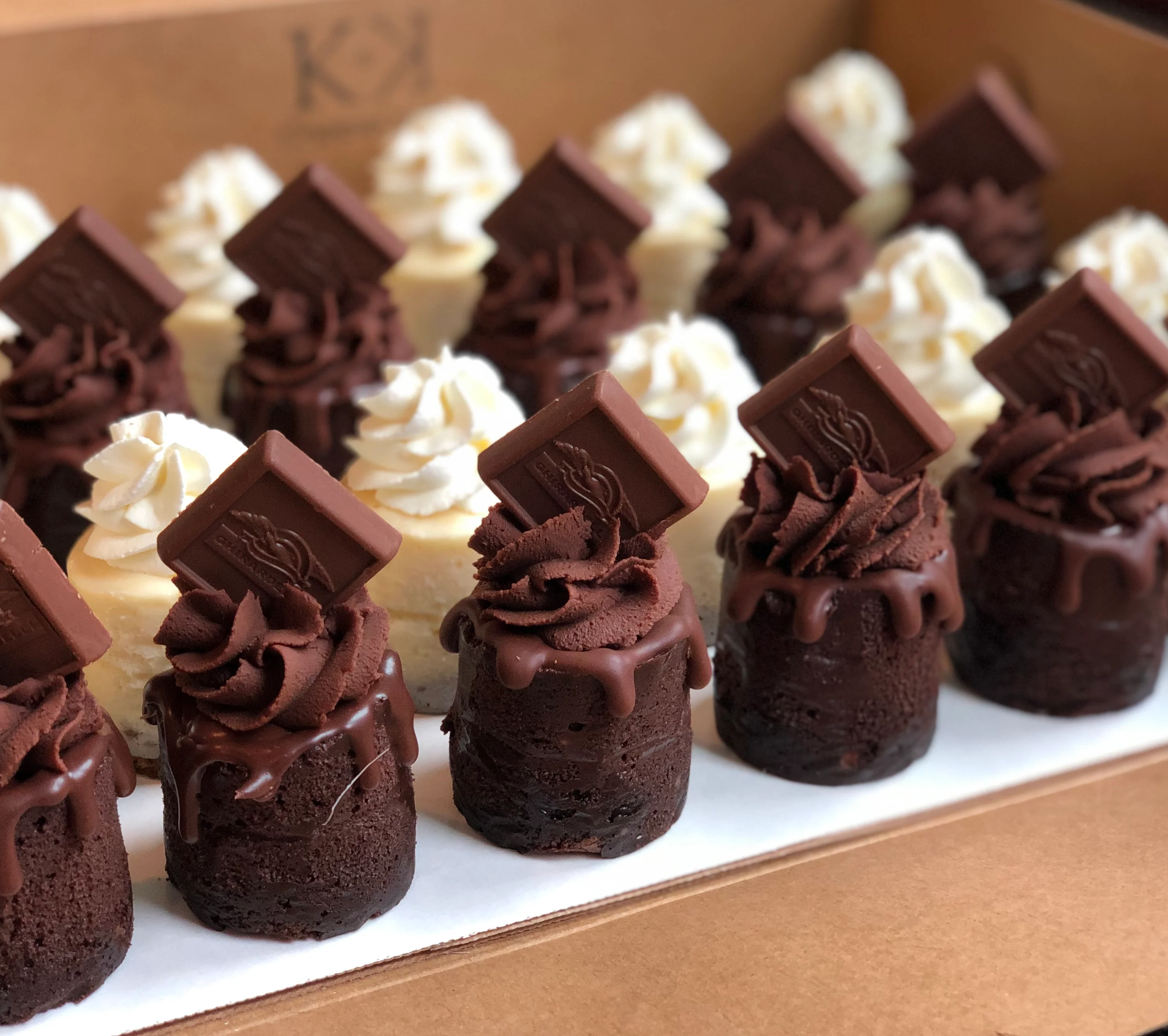 Decadent chocolate and vanilla mini cupcakes with whipped cream