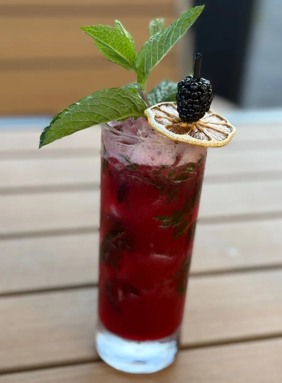 Refreshing blackberry mojito with mint and dried lemon garnish
