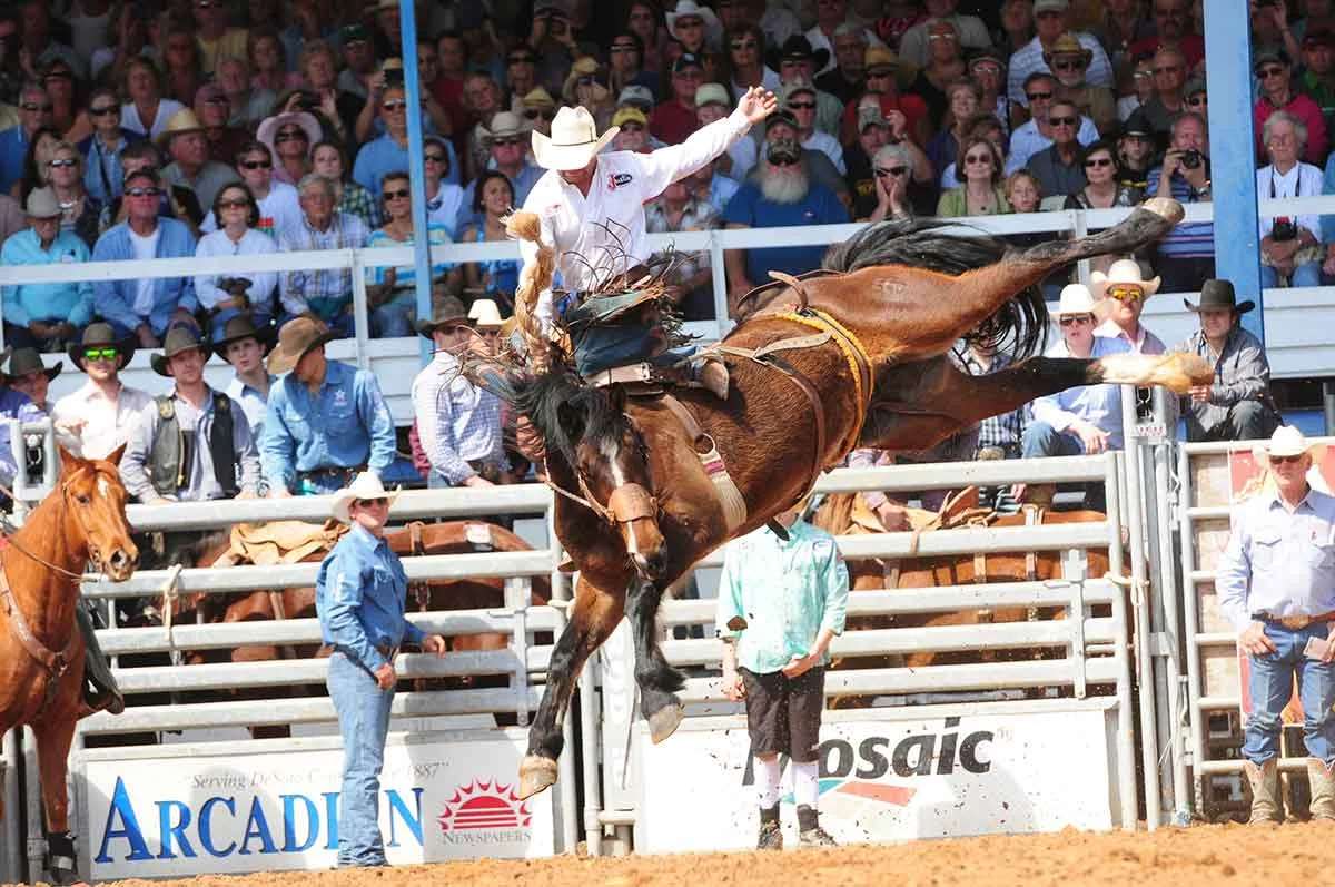 Cowboy riding a bucking bronco at a rodeo event