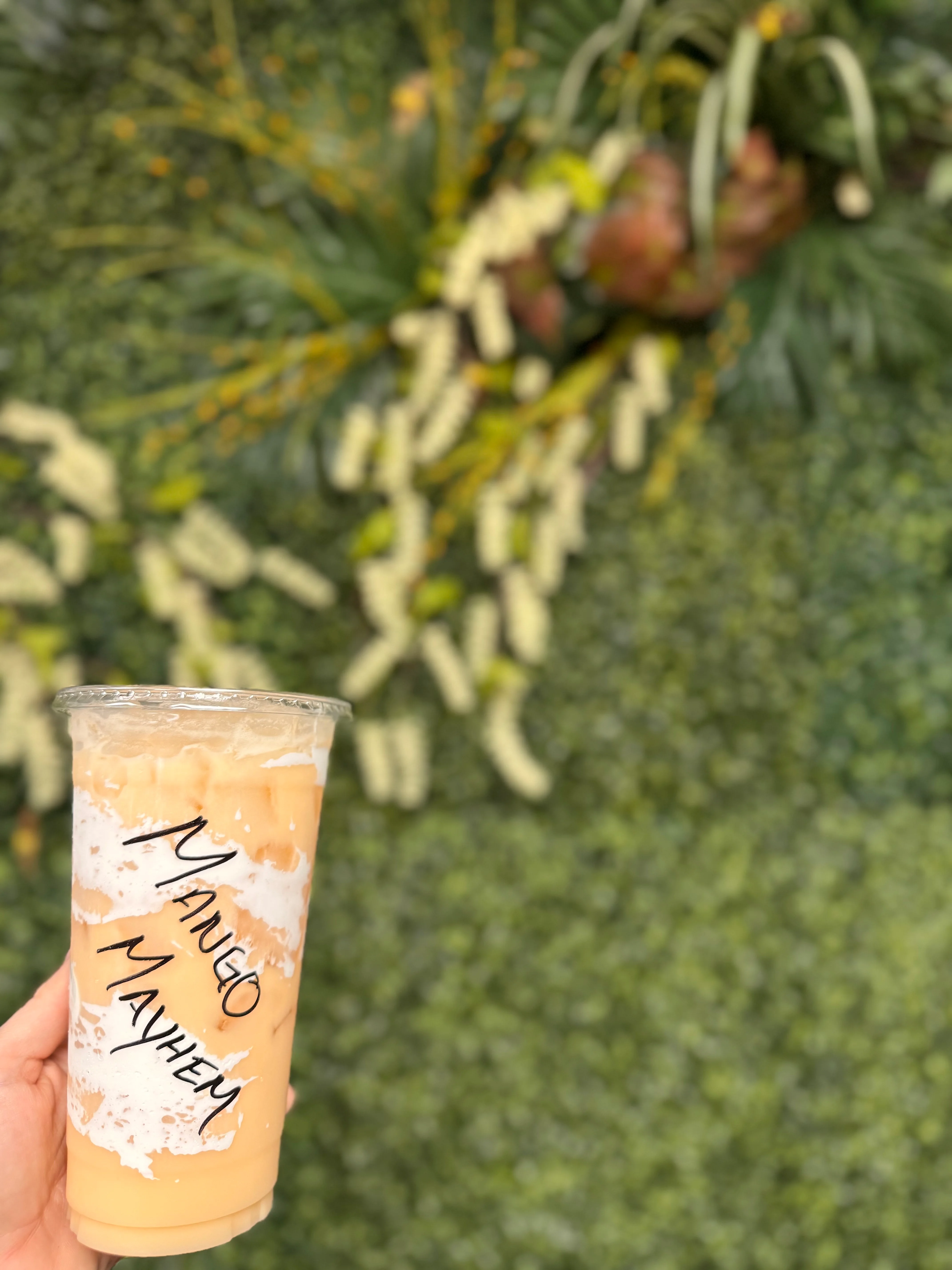 A hand holding a cup labeled 'Mango Mayhem' in front of a vibrant, green foliage background.