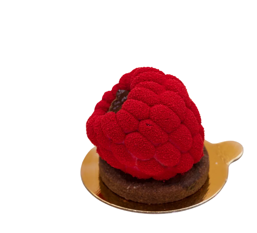 Elegant raspberry mousse dessert on a gold plate