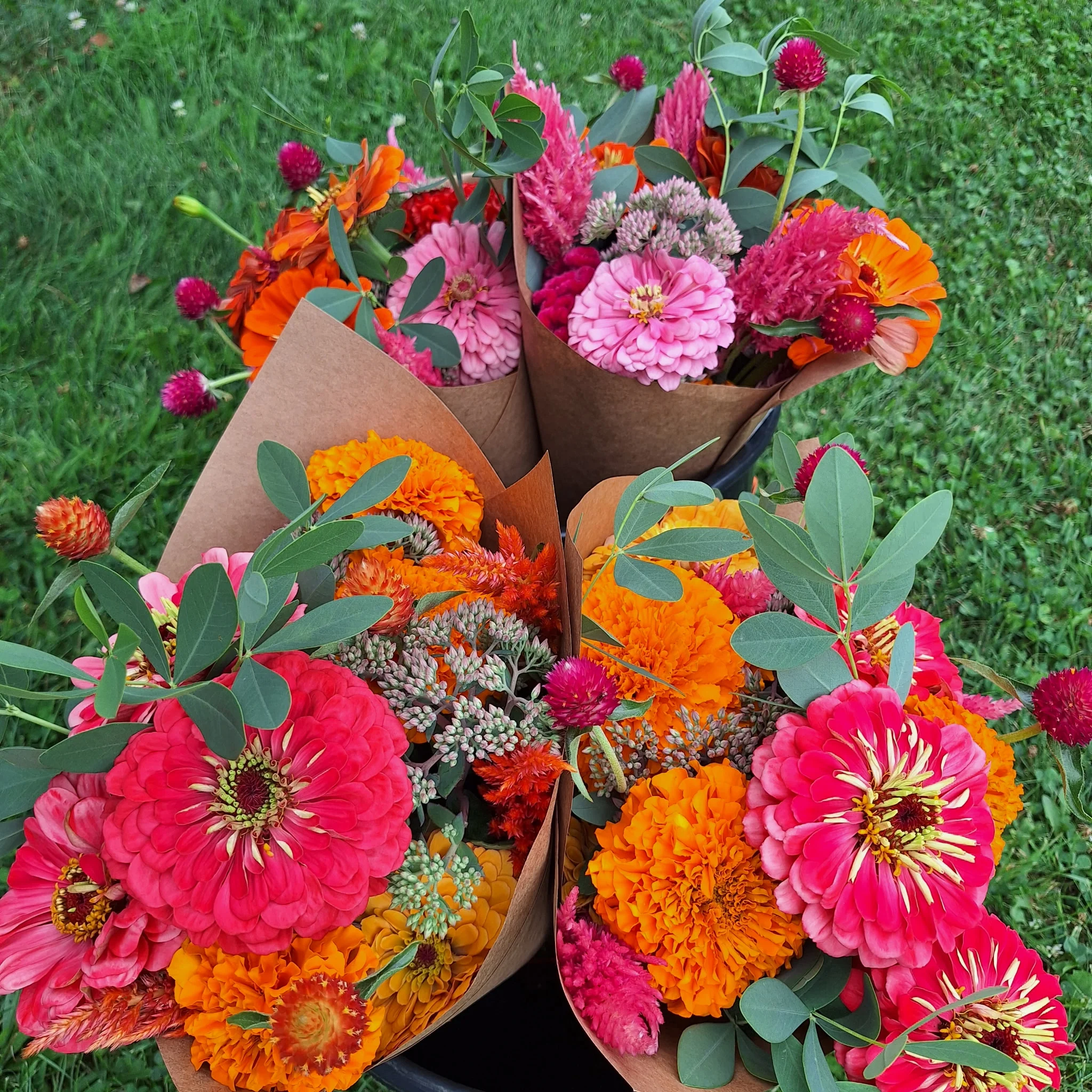 Three beautiful bouquets of vibrant flowers in shades of pink, orange, and red, wrapped in brown paper and set against a grassy background.