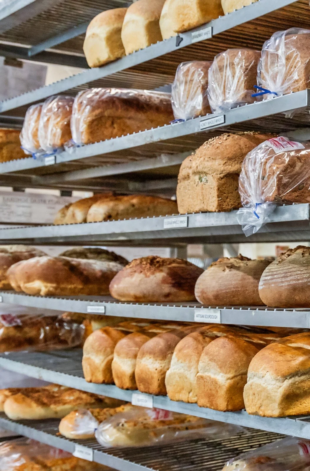 Variety of artisan breads on display in a bakery