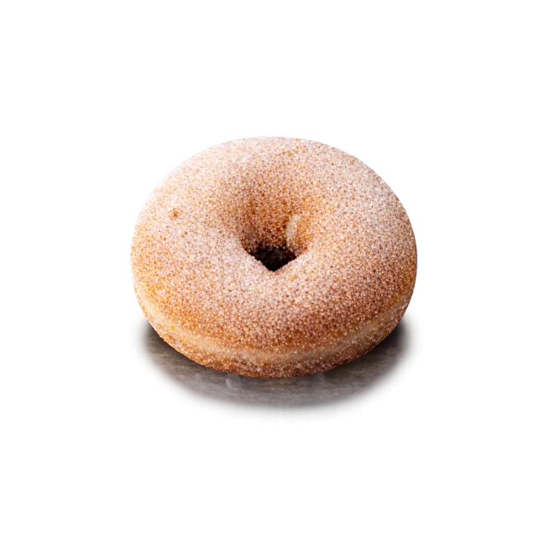 Vegan Churro cake donut coated in cinnamon sugar