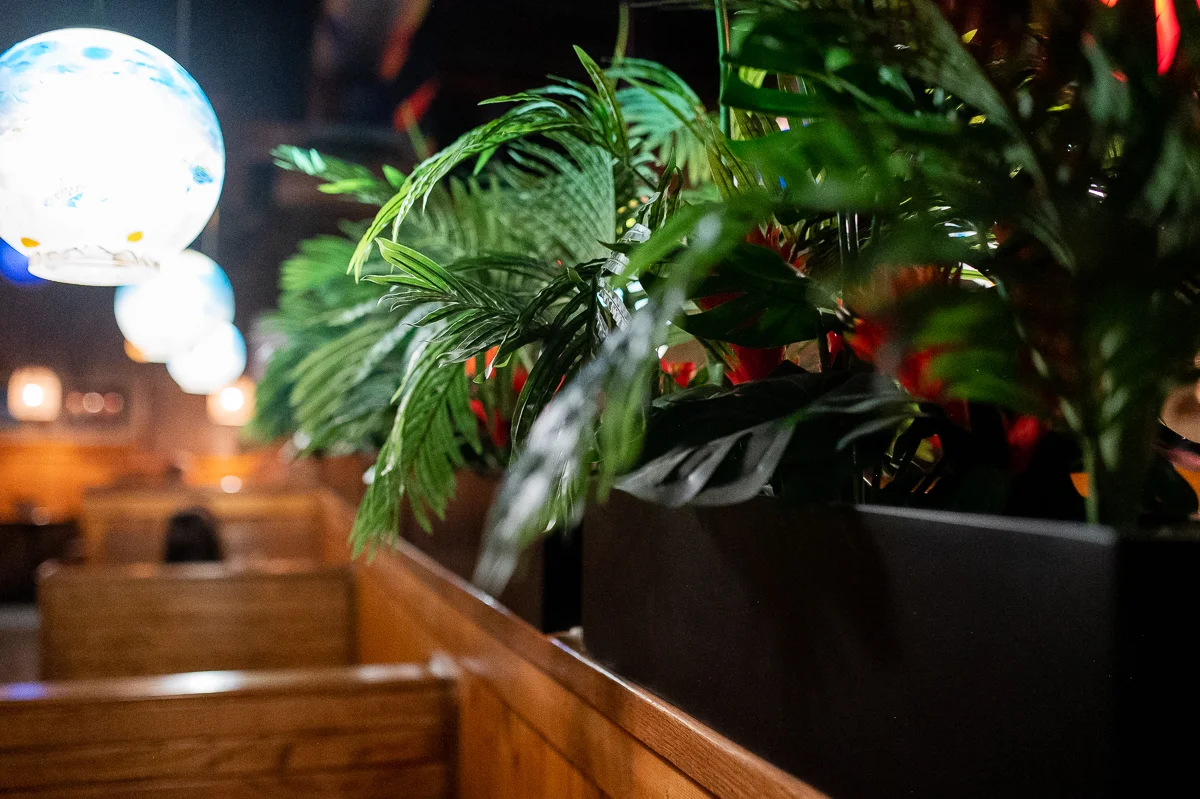 Cozy restaurant interior with lush greenery and ambient lighting