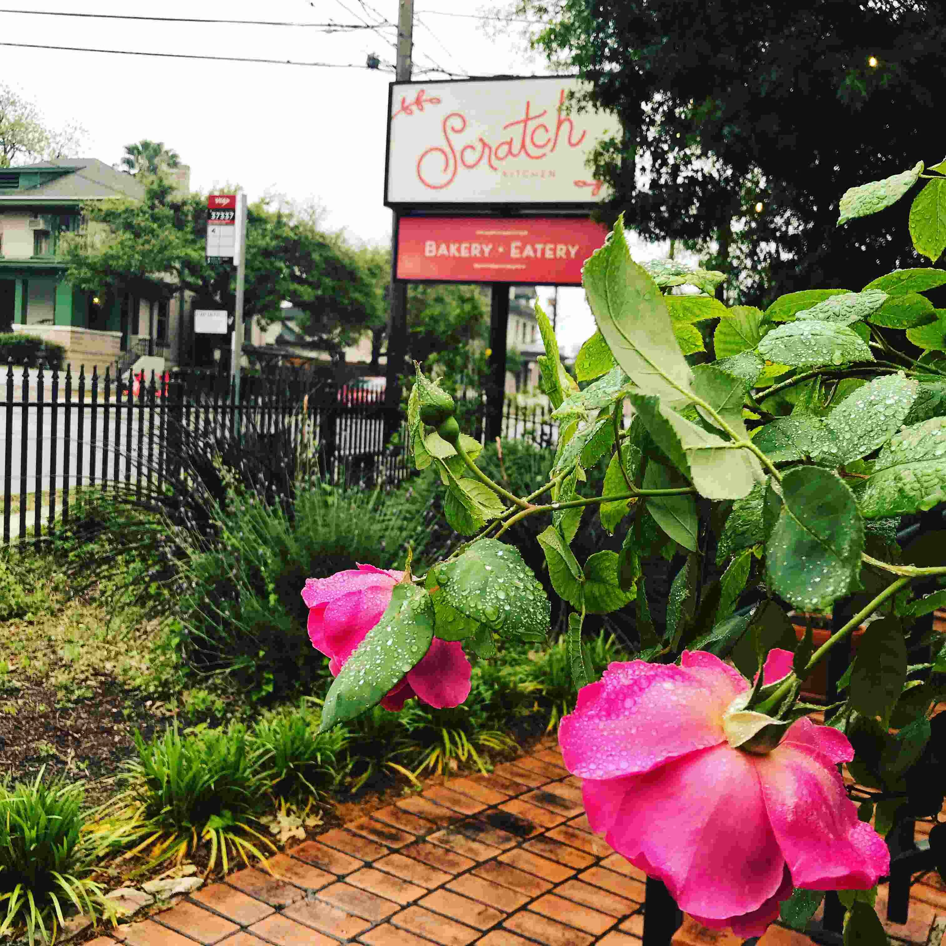 Exterior view of Scratch Kitchen bakery with blooming roses