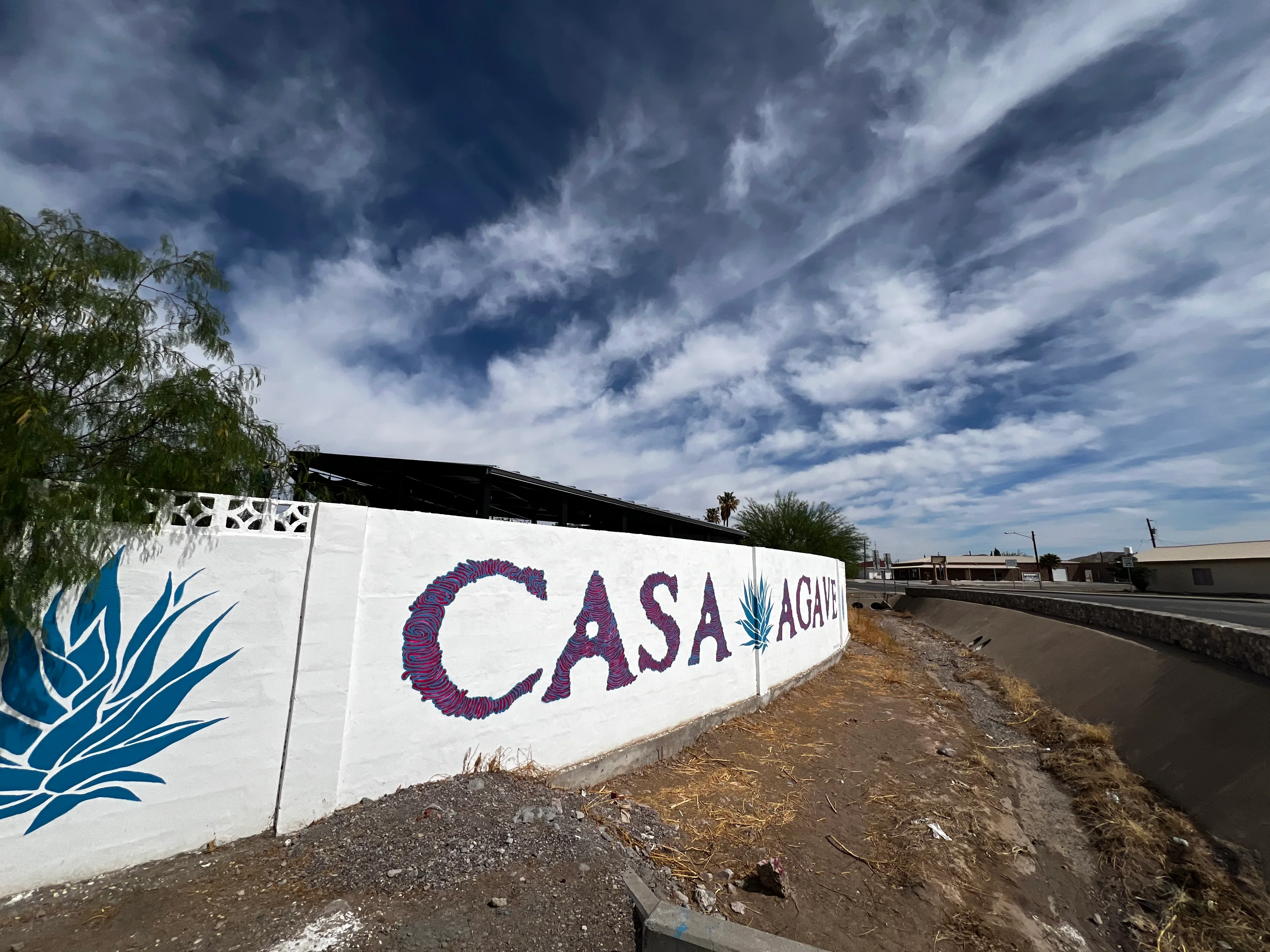 Exterior mural of Casa Agave with blue agave plant design