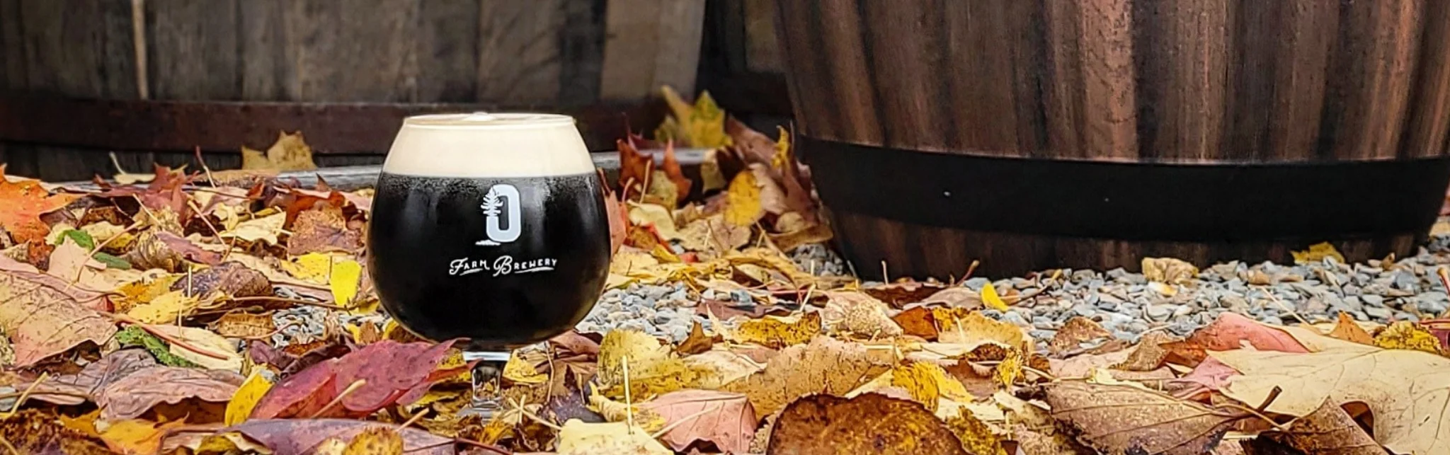 Craft beer in a glass on autumn leaves