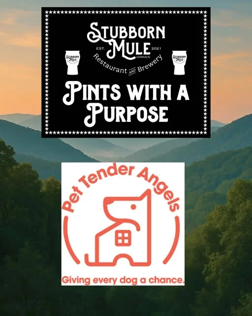 Promotional image for Stubborn Mule's charity event supporting Pet Tender Angels