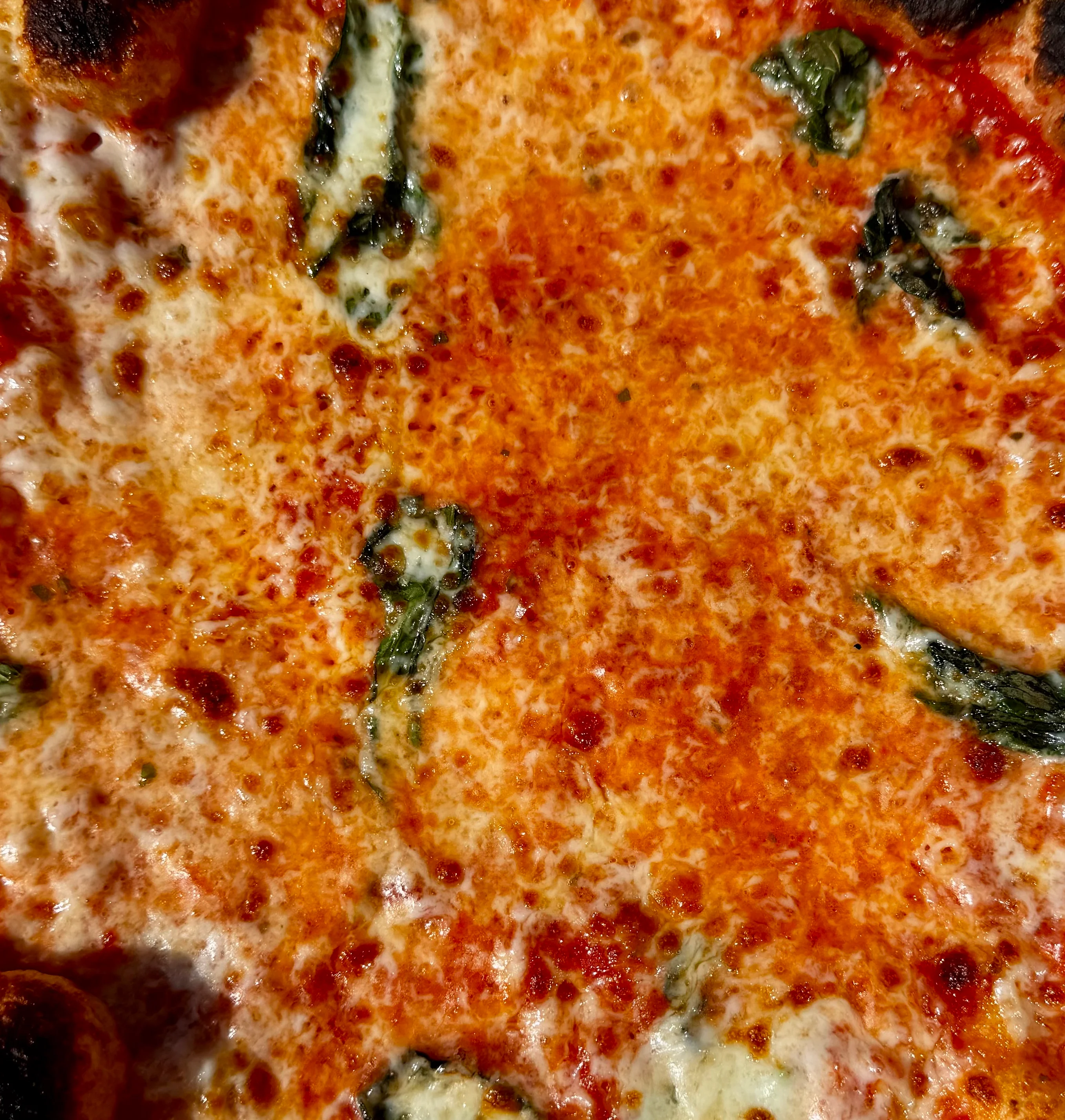 Close-up of Italian Margherita pizza with basil and charred crust