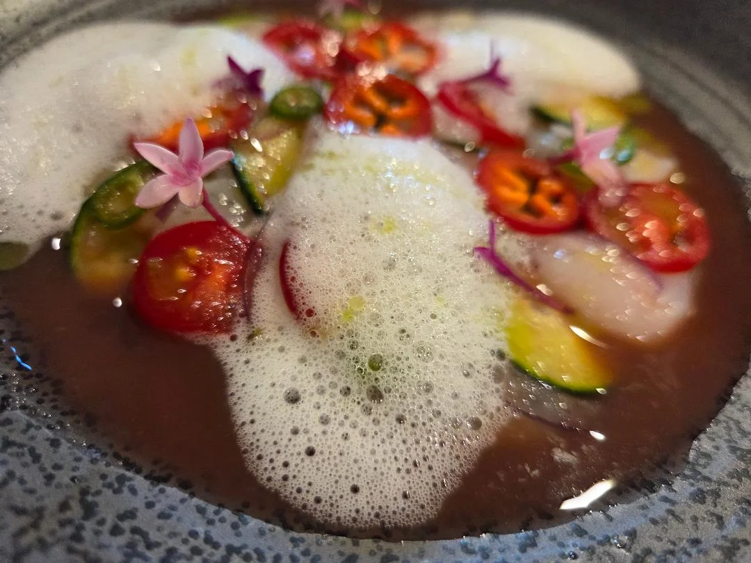 Ceviche with vibrant garnishes and foam in a modern presentation