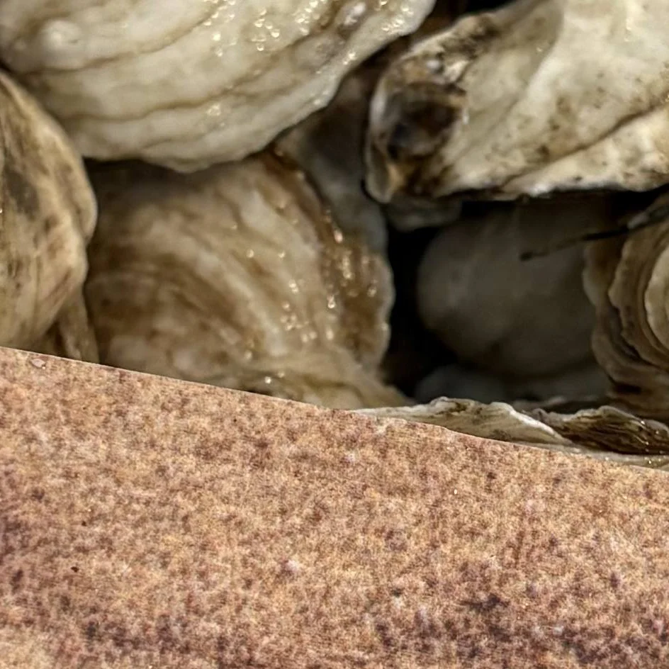 A fresh oyster held in a hand, showcasing its smooth shell and soft interior.