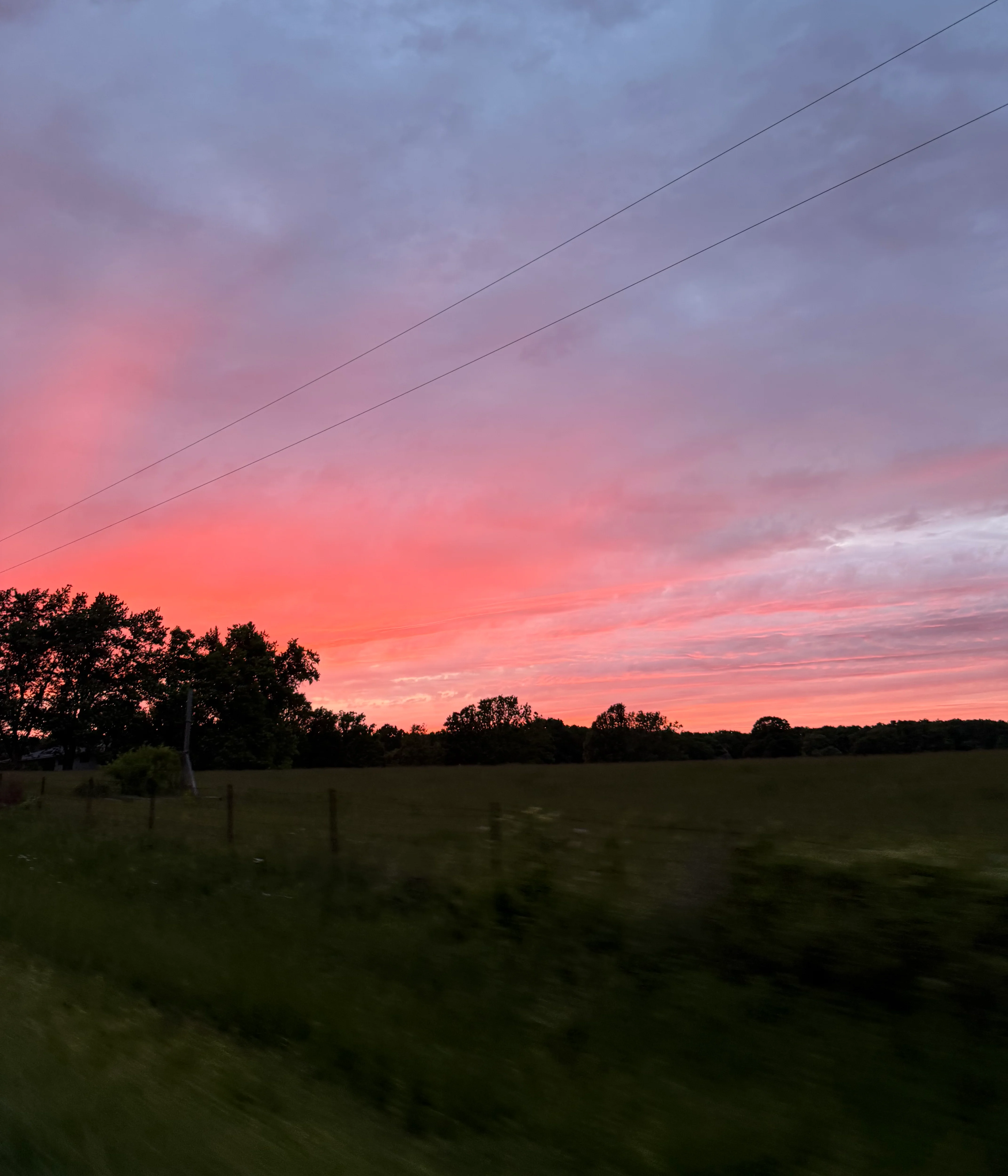 Vibrant sunset over a grassy field with trees in the background.