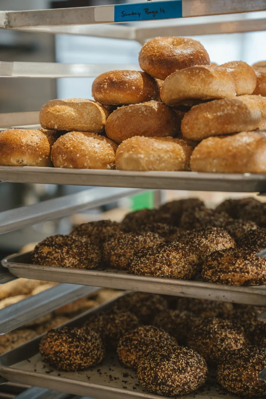 Freshly baked bagels on display in a bakery