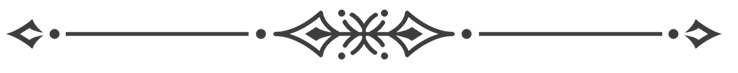 Decorative ornamental divider with floral flourishes