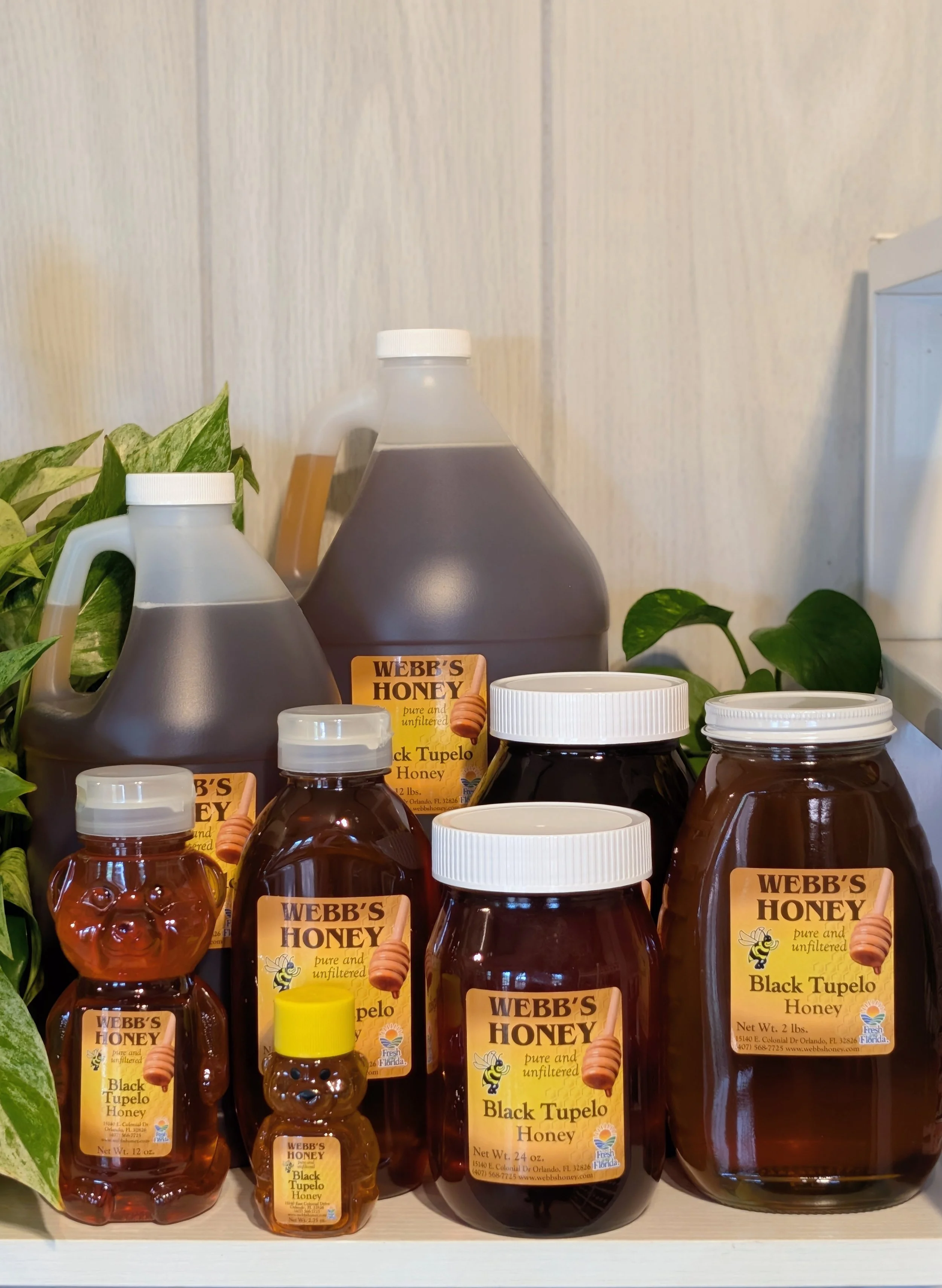Variety of Black Tupelo honey jars on display