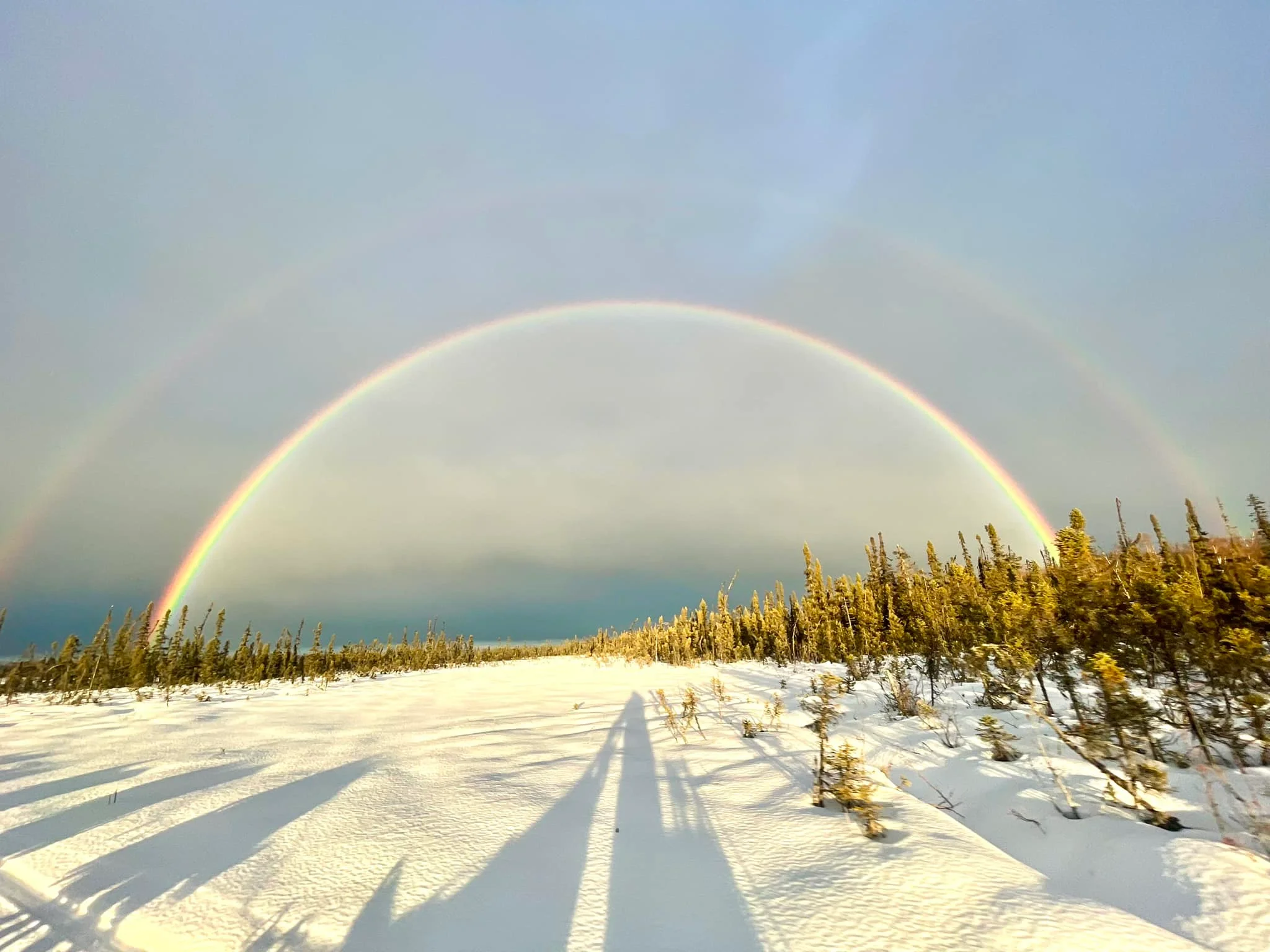 A snowy landscape with a vibrant double rainbow arching across the sky. Pine trees line the horizon against a backdrop of clouds.