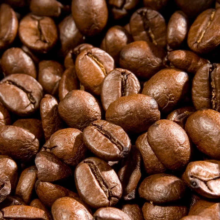 Freshly roasted coffee beans close-up