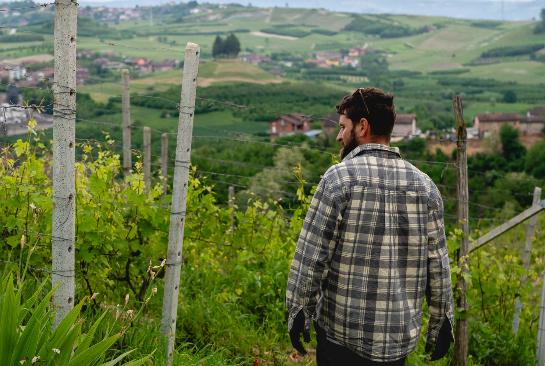 Vineyard worker overlooking rolling countryside and rural vineyards