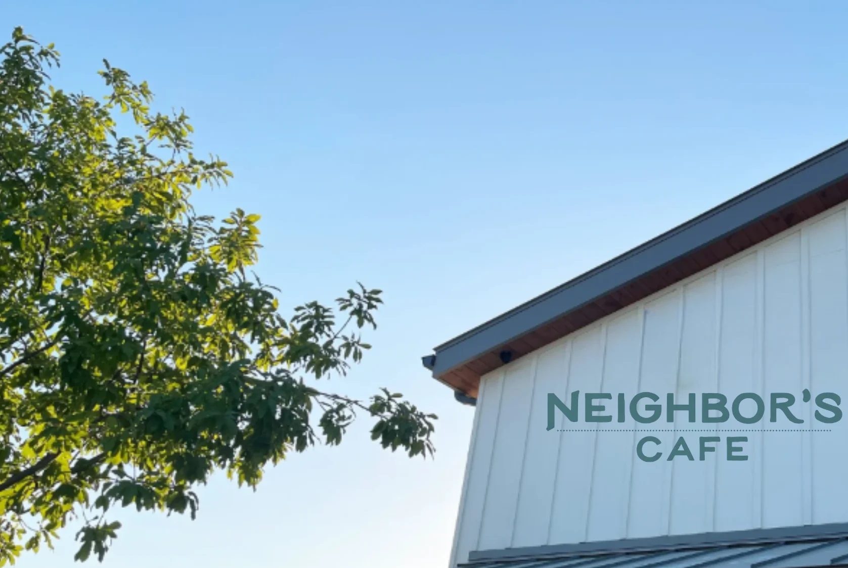 Cafe exterior with leafy tree and clear blue sky