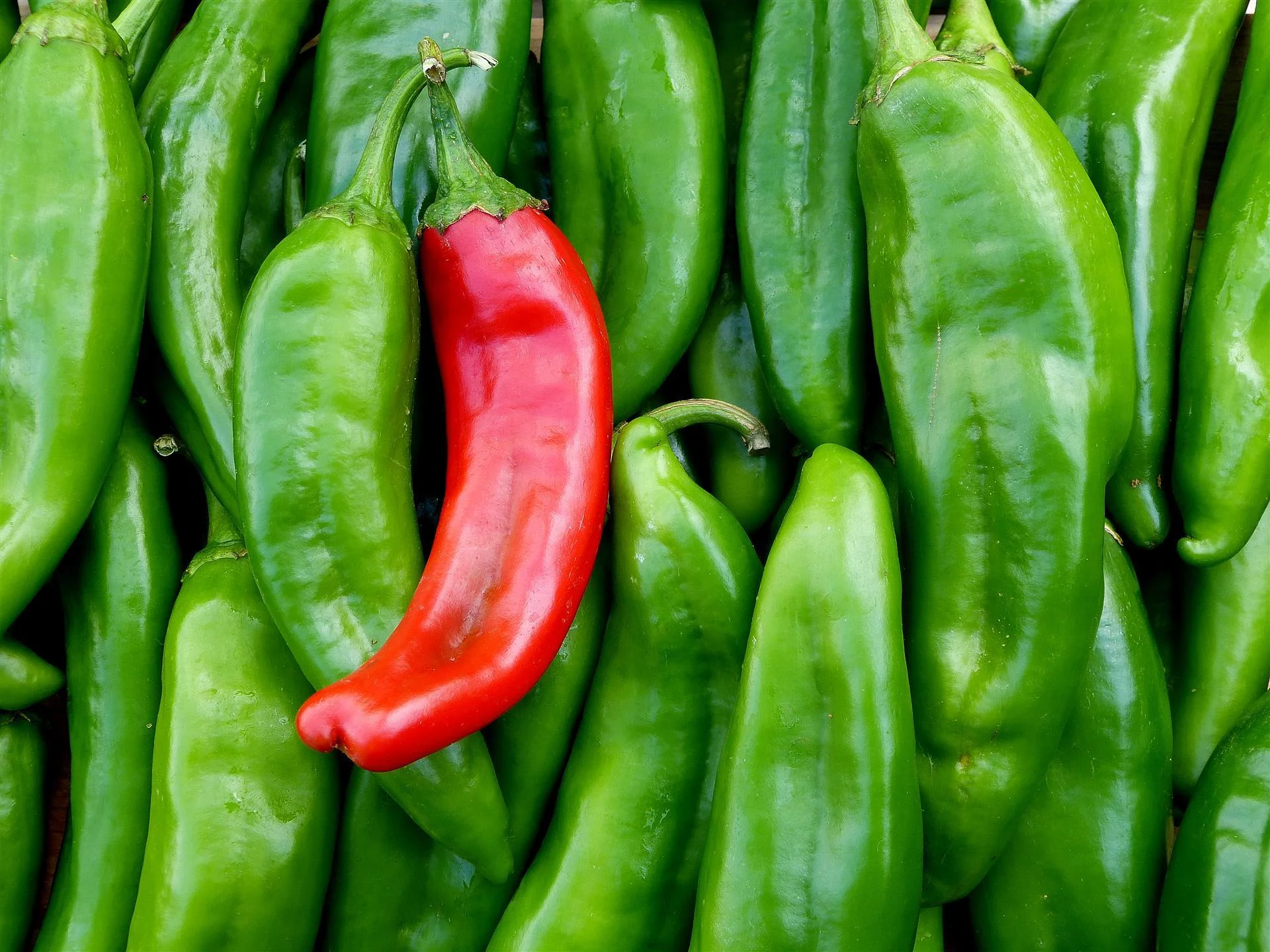 Vibrant assortment of green and red chili peppers
